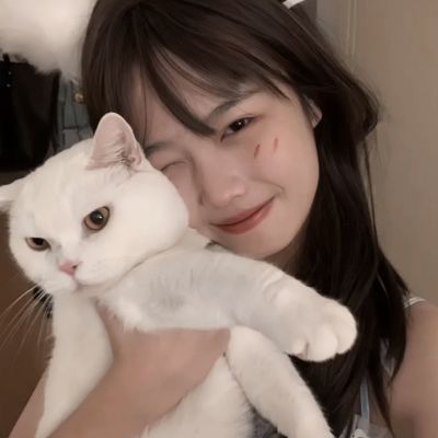 盈银体育截图