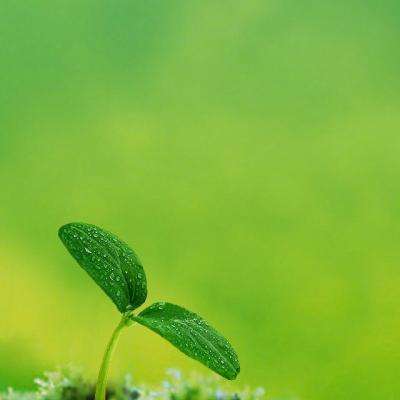 bsport体育官方app下载